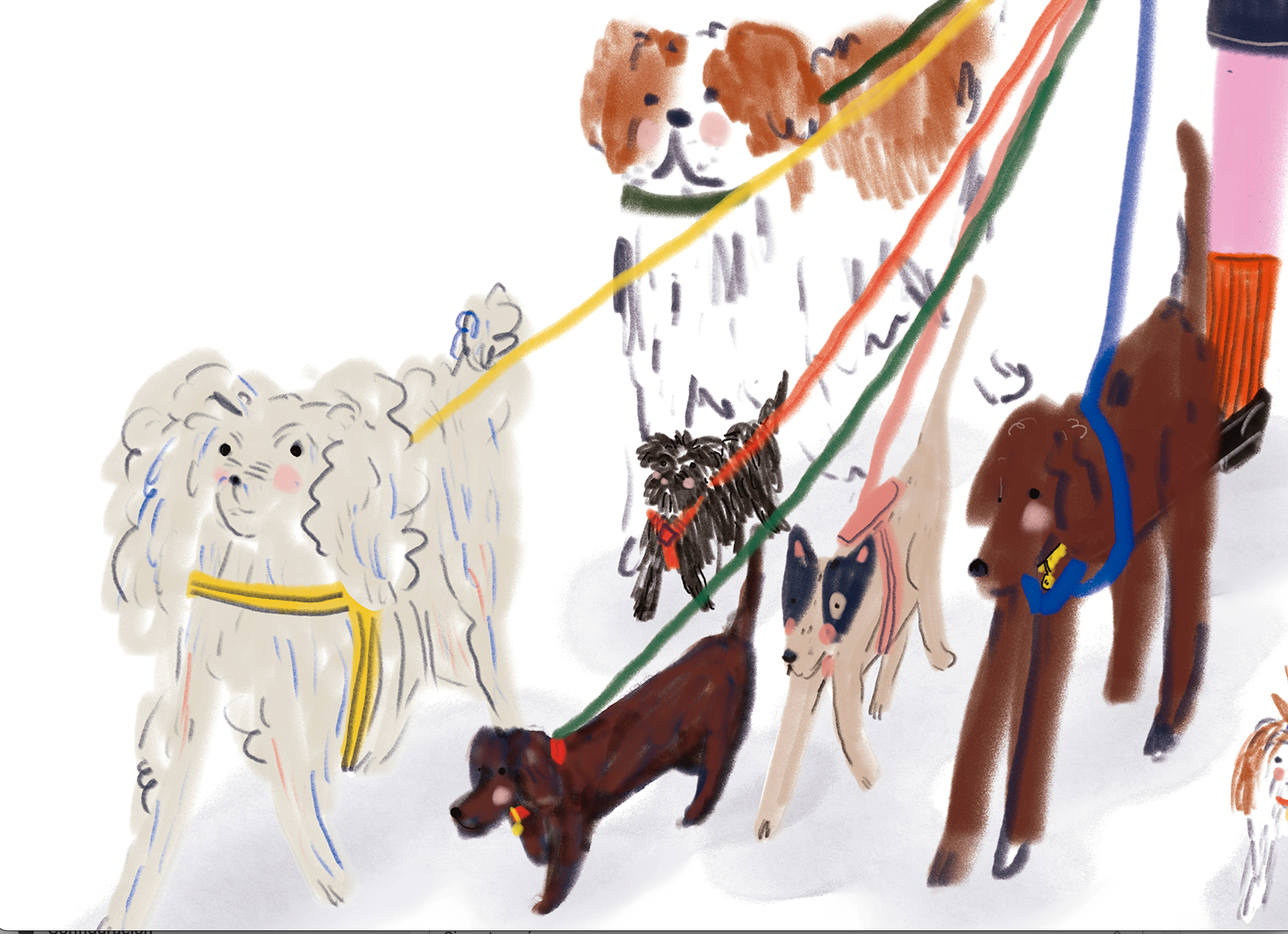 Paseador de perros