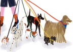 Paseador de perros