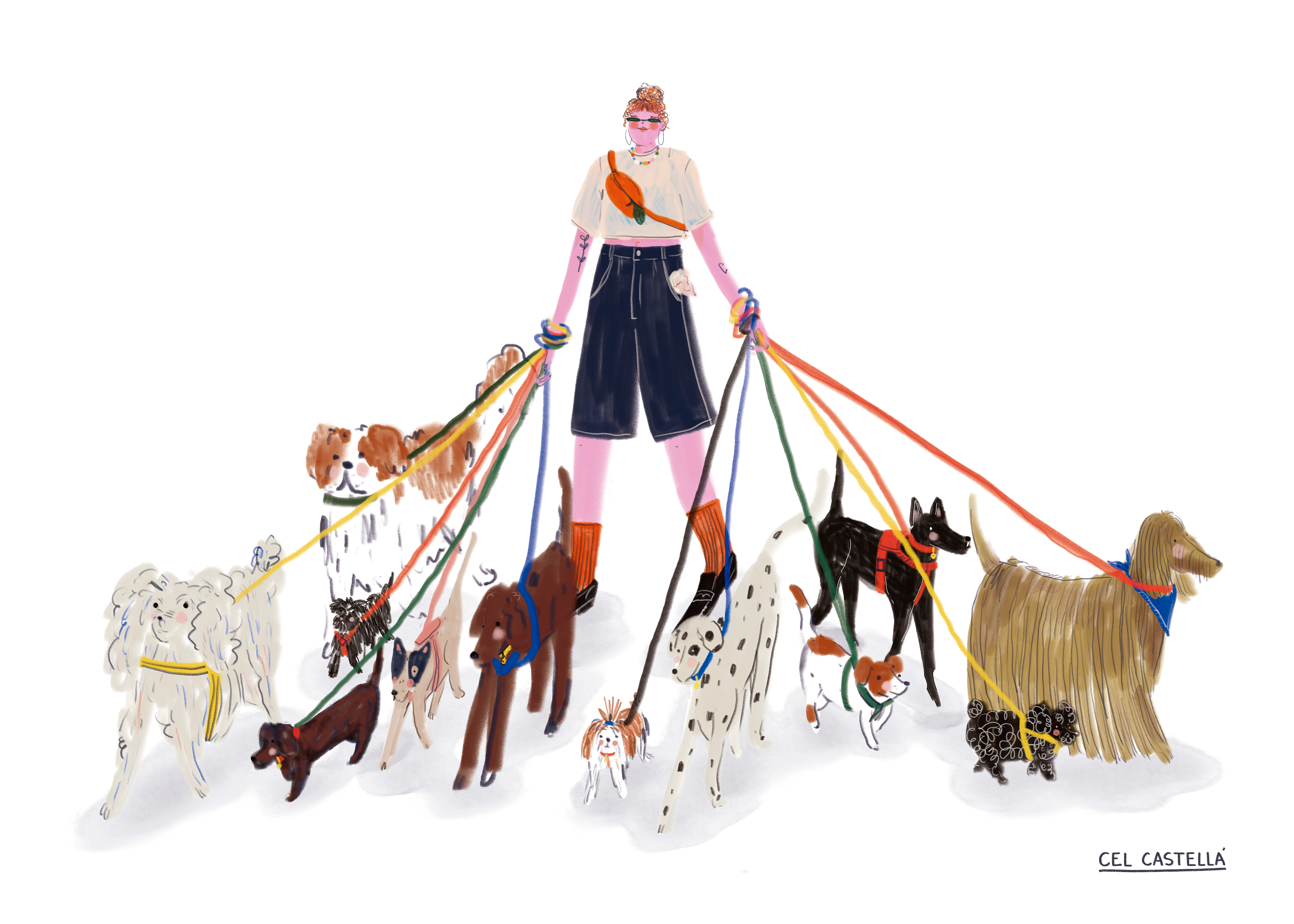 Paseador de perros